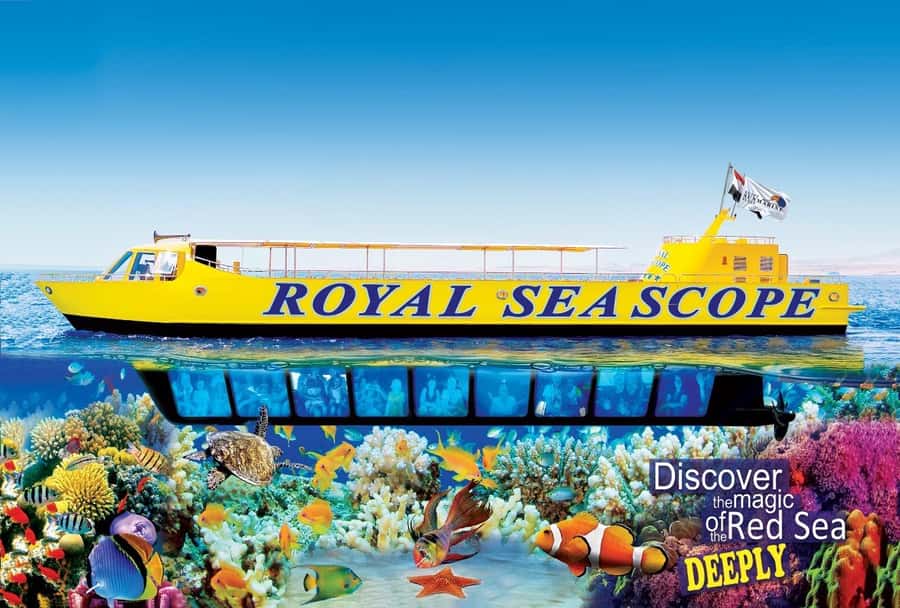 Makadi Bay: Royal Seascope Submarine Cruise & Snorkel stop - The Reef Cruise Portion: The Boat Ride and What It Adds