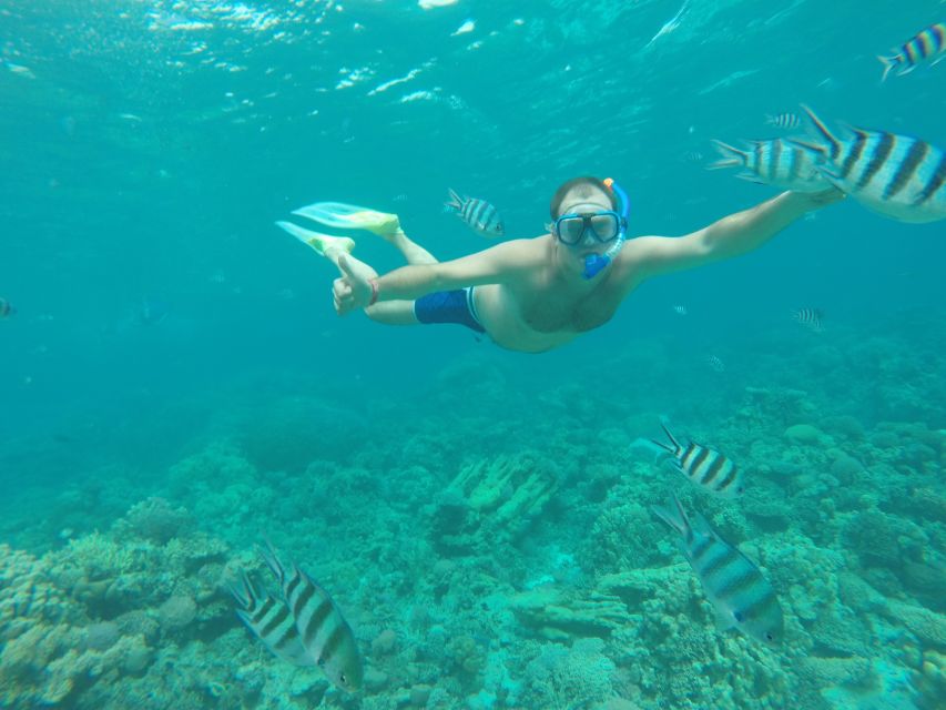 Makadi Bay: Snorkelling and Diving Island Trip - Key things that make this trip worth your time