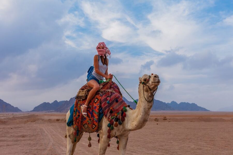 Marsa Alam Bedouin Nights: Jeep Safari, Dinner & Stargazing - Sunset and dinner under the stars, what makes the meal memorable