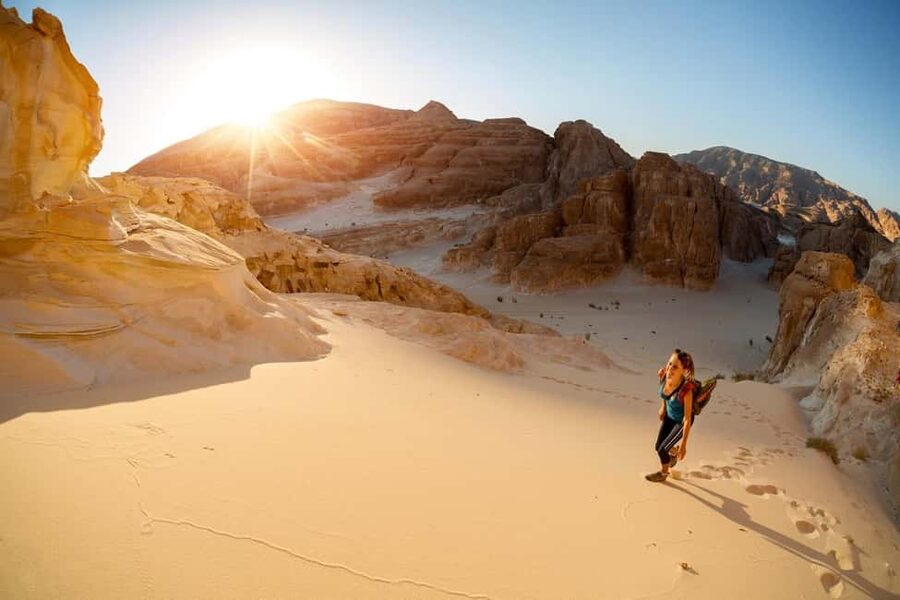 Marsa Alam Bedouin Nights: Jeep Safari, Dinner & Stargazing - Price and logistics: what $76 covers and the add-ons to budget for