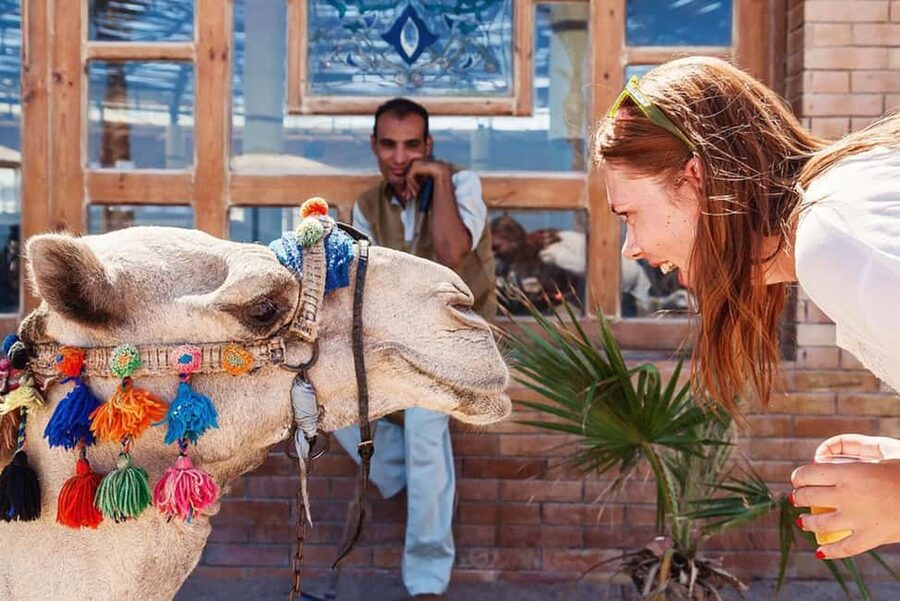 Marsa Alam Bedouin Nights: Jeep Safari, Dinner & Stargazing - Who should book this jeep safari and who should skip it