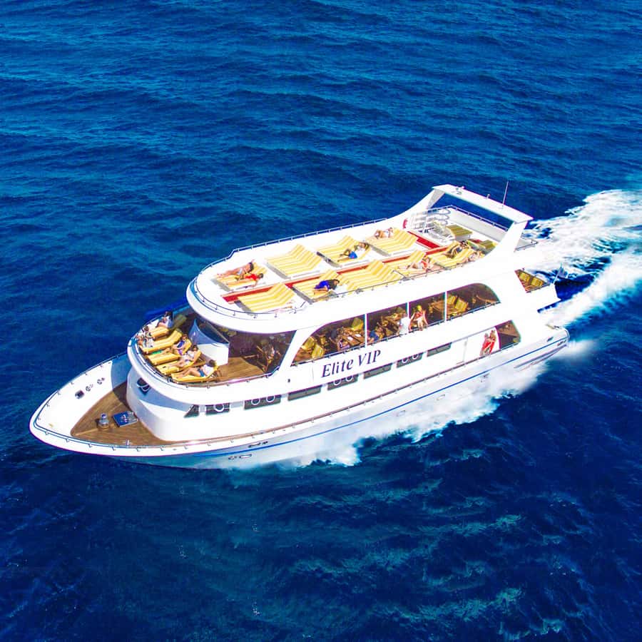 Marsa Alam: Elite vip Turtle bay snorkeling with BBQ Lunch - Key things you’ll notice on the day