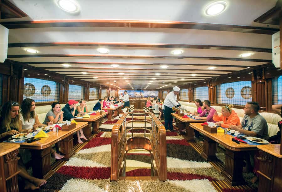 Marsa Alam: Elite vip Turtle bay snorkeling with BBQ Lunch - Price and value: what $100 buys you on a half-day tour