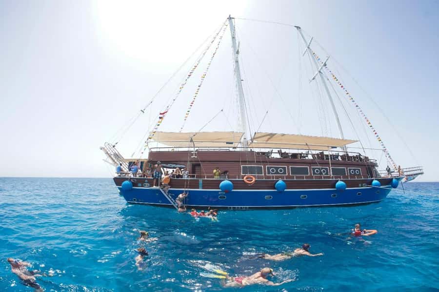 Marsa Alam: Pirates Premium Boat to turtle bay with lunch - Marsa Mubarak snorkeling: turtles, rays, dugongos, and coral