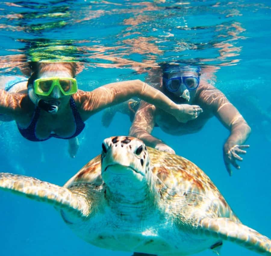 Marsa Alam: Pirates Premium Boat to turtle bay with lunch - Photo stop and the return cruise back to Port Ghalib