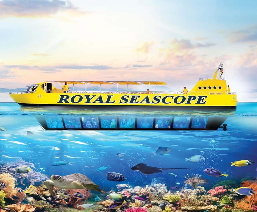 Marsa Alam: Royal Seascope Submarine Cruise with Pickup - Key Points Worth Knowing Before You Go