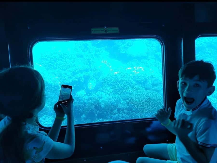 Marsa Alam: Royal Seascope Submarine Cruise with Pickup - Onboard the Yellow Sea Scope: What You See Without Getting Wet