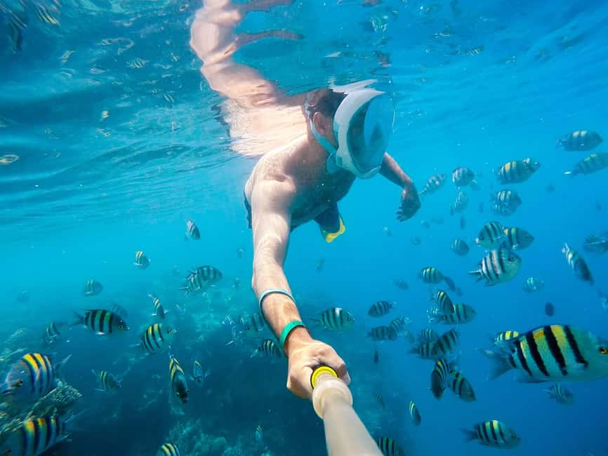 Marsa Alam:Sataya Reefs Dolphin Snorkeling Cruise with Lunch - Coral gardens, fish spotting, and why a guide matters