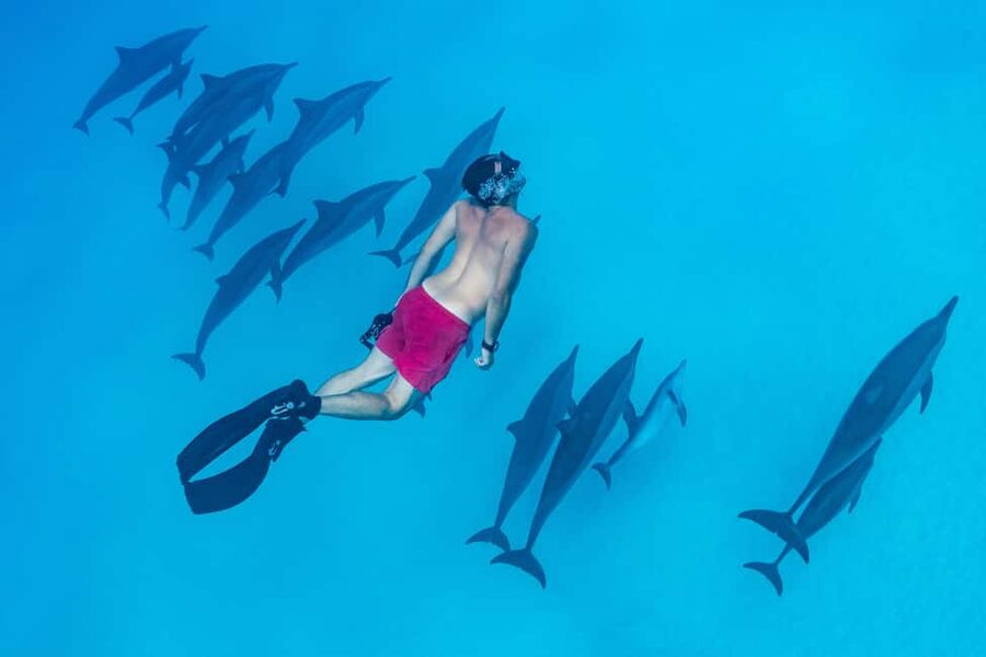 Marsa Alam:Sataya Reefs Dolphin Snorkeling Cruise with Lunch - Lunch on board and what to bring so you are not stuck mid-day