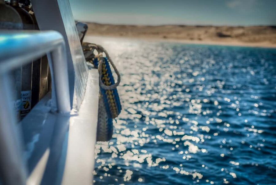 Marsa Alam:Sataya Reefs Dolphin Snorkeling Cruise with Lunch - Price and value: is $90 fair for this Red Sea day?