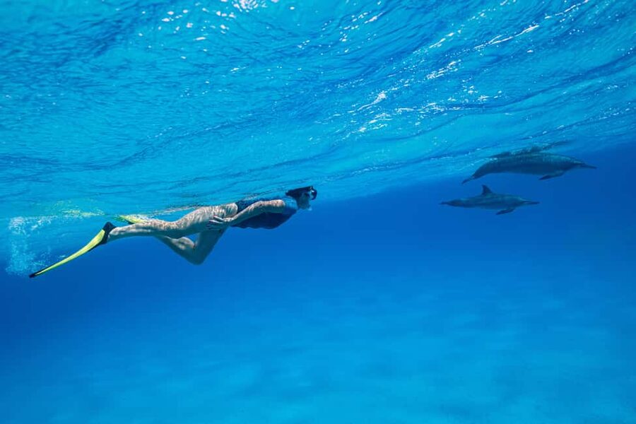 Marsa Alam:Sataya Reefs Dolphin Snorkeling Cruise with Lunch - From Marsa Alam pickup to two snorkel sessions: how the day actually flows