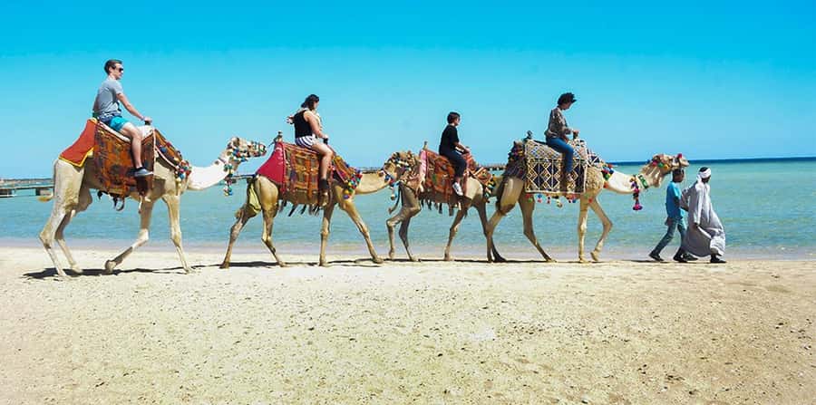 Marsa Alam: Sea and Desert Camel Riding Tour - Key highlights worth planning around