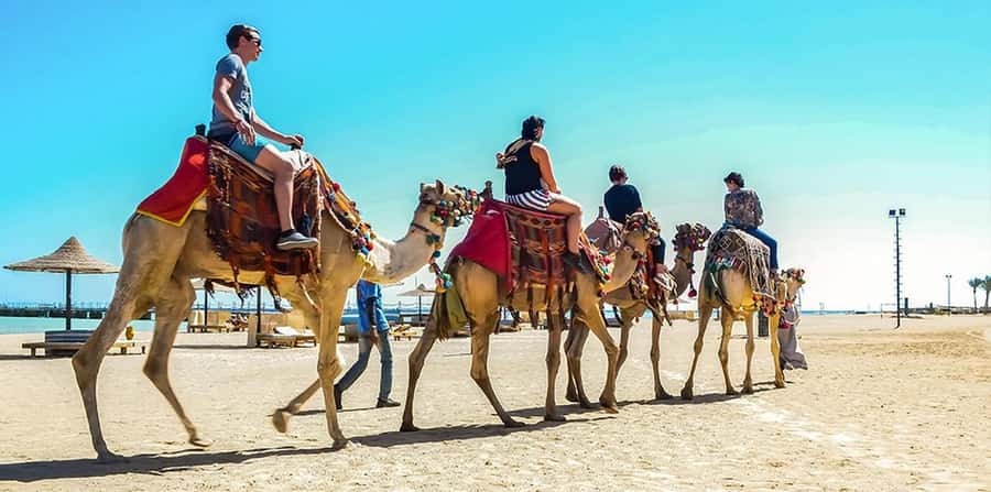 Marsa Alam: Sea and Desert Camel Riding Tour - Riding camel dunes with Red Sea views in Marsa Alam