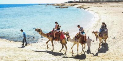 Sea and Desert Camel Riding Tour