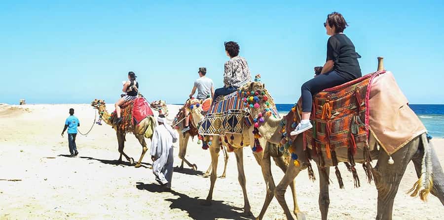 Marsa Alam: Sea and Desert Camel Riding Tour - The 2-hour camel ride: dunes first, then the Red Sea edge