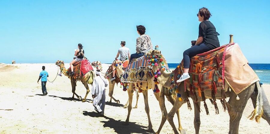 Marsa Alam: Sea and Desert Camel Riding Tour - Sunrise Oriental breakfast and what to wear in cool mornings