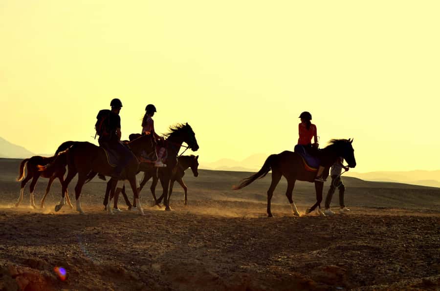 Marsa Alam: Sea and Desert Horse Riding Tour - Key things I’d pin on your map