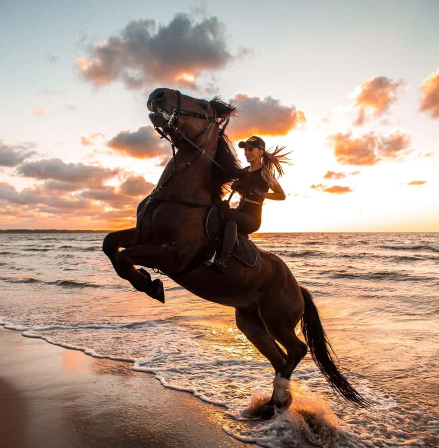 Marsa Alam: Sea and Desert Horse Riding Tour - Marsa Alam, the Red Sea, and why this horse ride feels different