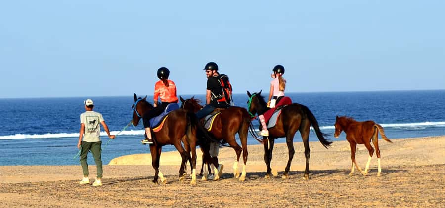 Marsa Alam: Sea and Desert Horse Riding Tour - Riding desert dunes plus the Red Sea shoreline on a 2-hour route
