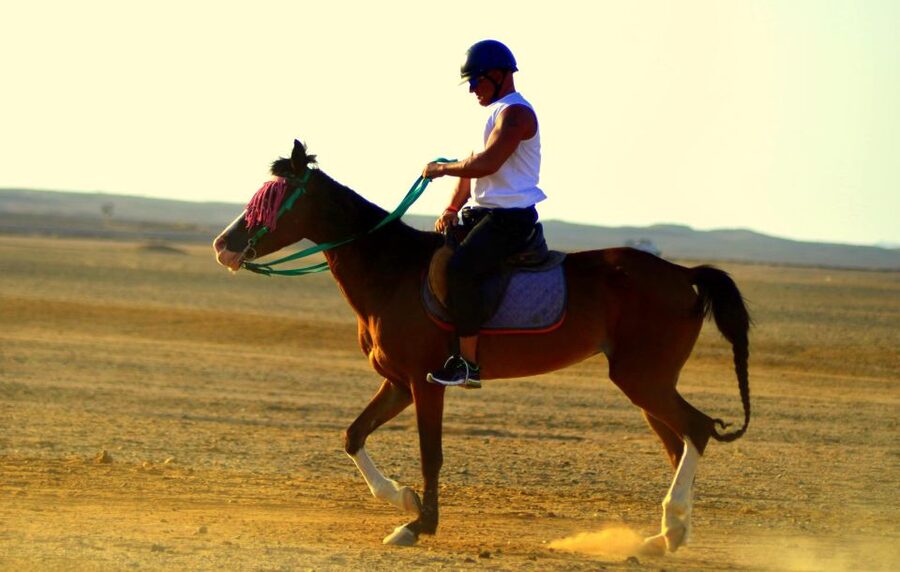 Marsa Alam: Sea and Desert Horse Riding Tour - VIP 4-hour riding, the Red Sea swim stop, and what to bring