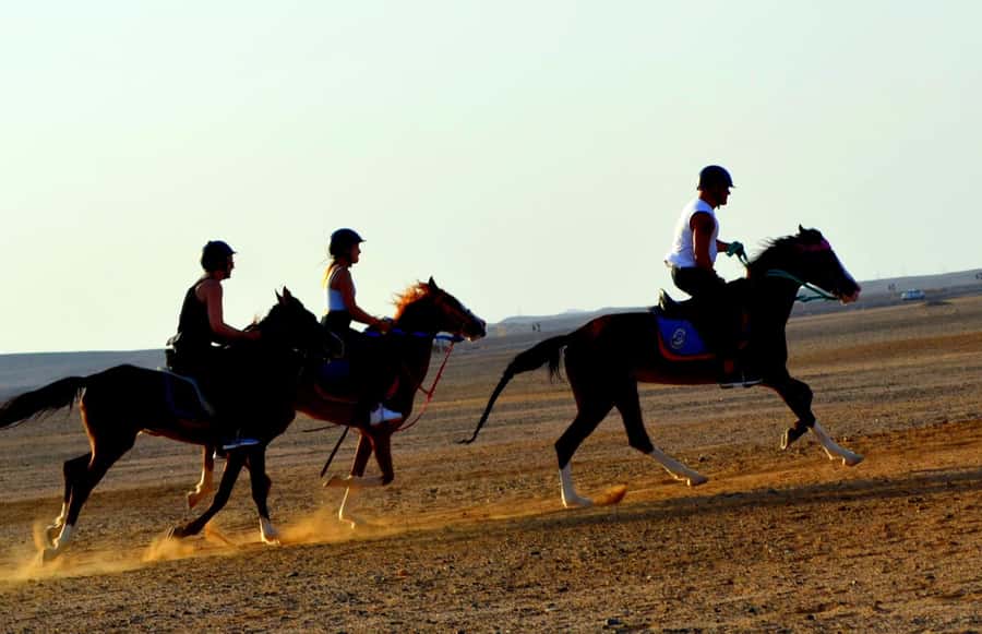 Marsa Alam: Sea and Desert Horse Riding Tour - Transfers from Coraya Bay, Port Ghalib, Abu Dabbab, and Marsa Alam City