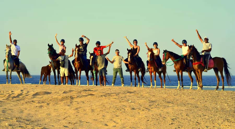 Marsa Alam: Sea and Desert Horse Riding Tour - Horses, pacing, and the “calm but fun” factor