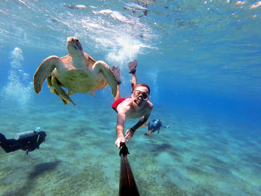 Marsa Alam: Snorkeling with Sea Turtles Marsa Mubarak - Key things I’d pay attention to