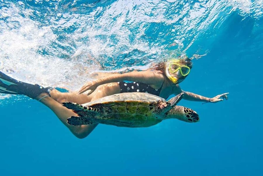 Marsa Alam: Snorkeling with Sea Turtles Marsa Mubarak - Why Marsa Mubarak is a top Red Sea snorkel from Marsa Alam