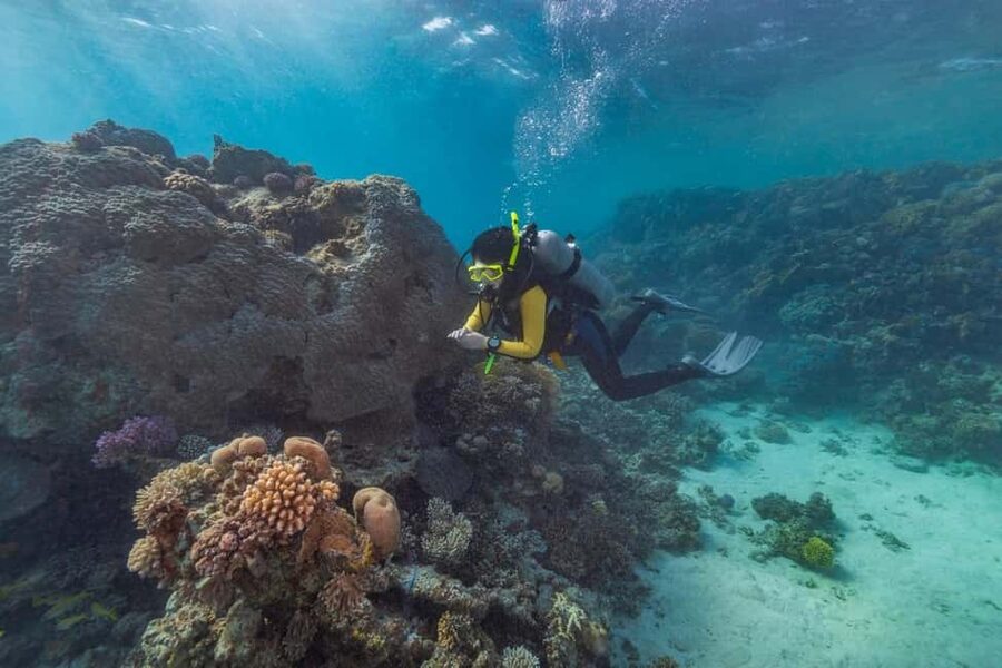 Marsa Alam: Snorkeling with Sea Turtles Marsa Mubarak - The optional 1-hour city moment with a sunset twist
