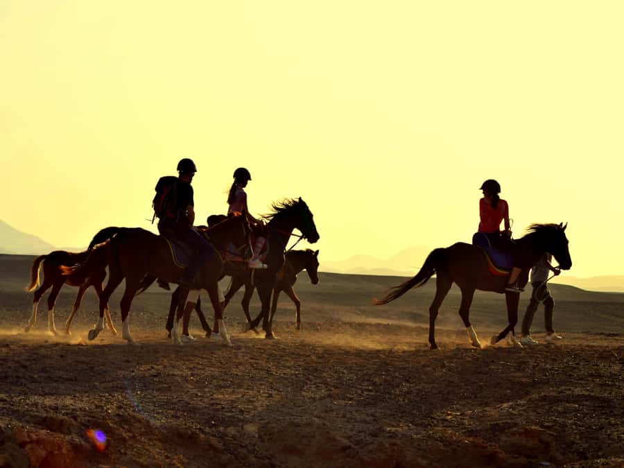 Marsa Alam: Sunrise Horseback with Breakfast - Key highlights to know before you go