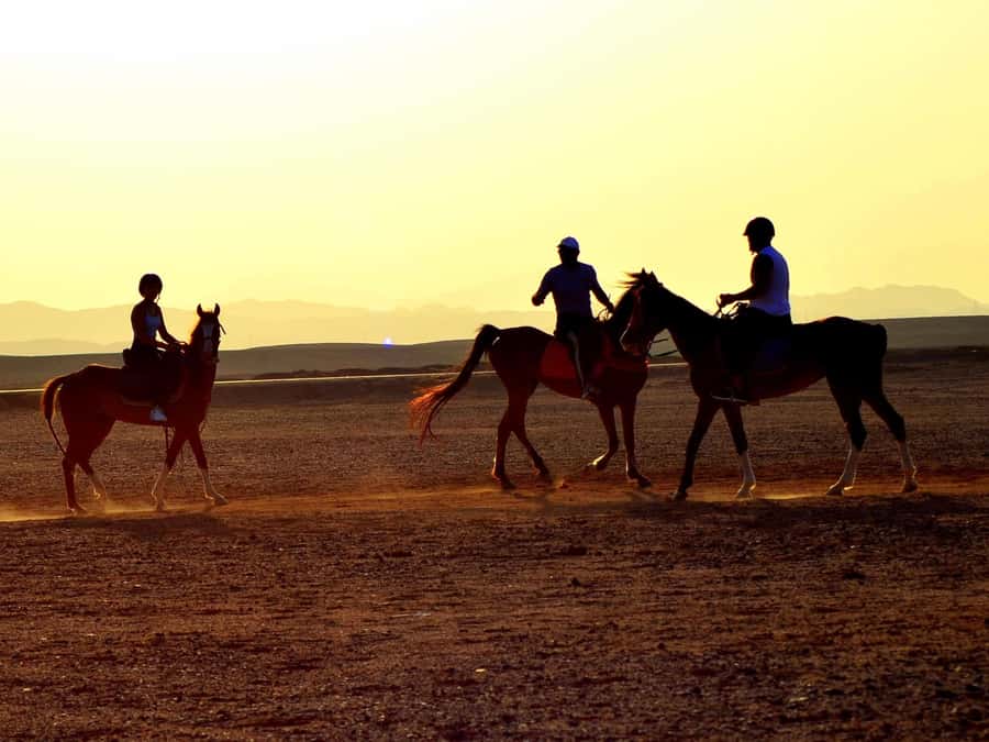 Marsa Alam: Sunrise Horseback with Breakfast - The Oriental breakfast after the ride, what to expect and how to plan