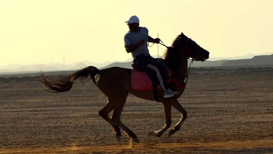 Marsa Alam: Sunrise Horseback with Breakfast - Photography and the morning pace: keeping it calm and not rushed