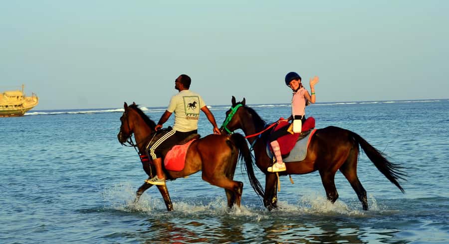 Marsa Alam: Sunrise Horseback with Breakfast - Price and value at around $26: is it good for your budget?