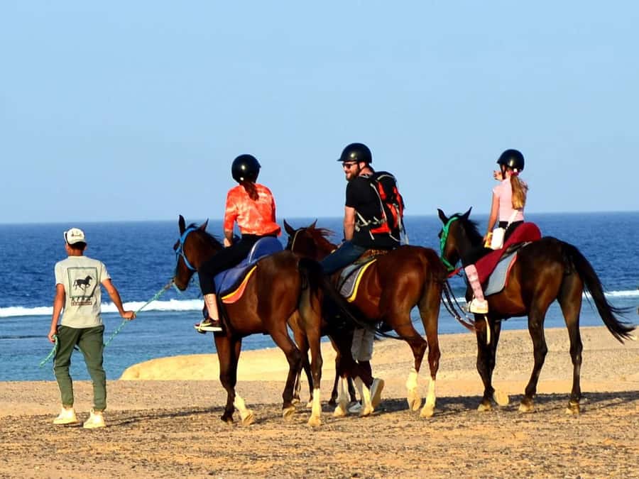 Marsa Alam: Sunrise Horseback with Breakfast - Who this sunrise horseback tour fits best