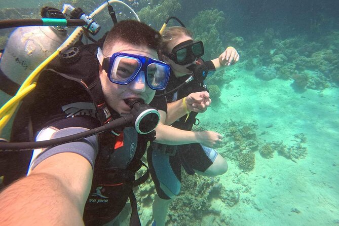 Moving Underwater 2 professional diving with lunch - A Half-Day Red Sea Plan: Two Underwater Spots and a Boat Lunch