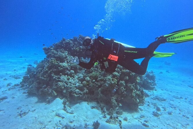 Moving Underwater 2 professional diving with lunch - 8:00 AM Pickup to Early Afternoon Return: How the Timing Works