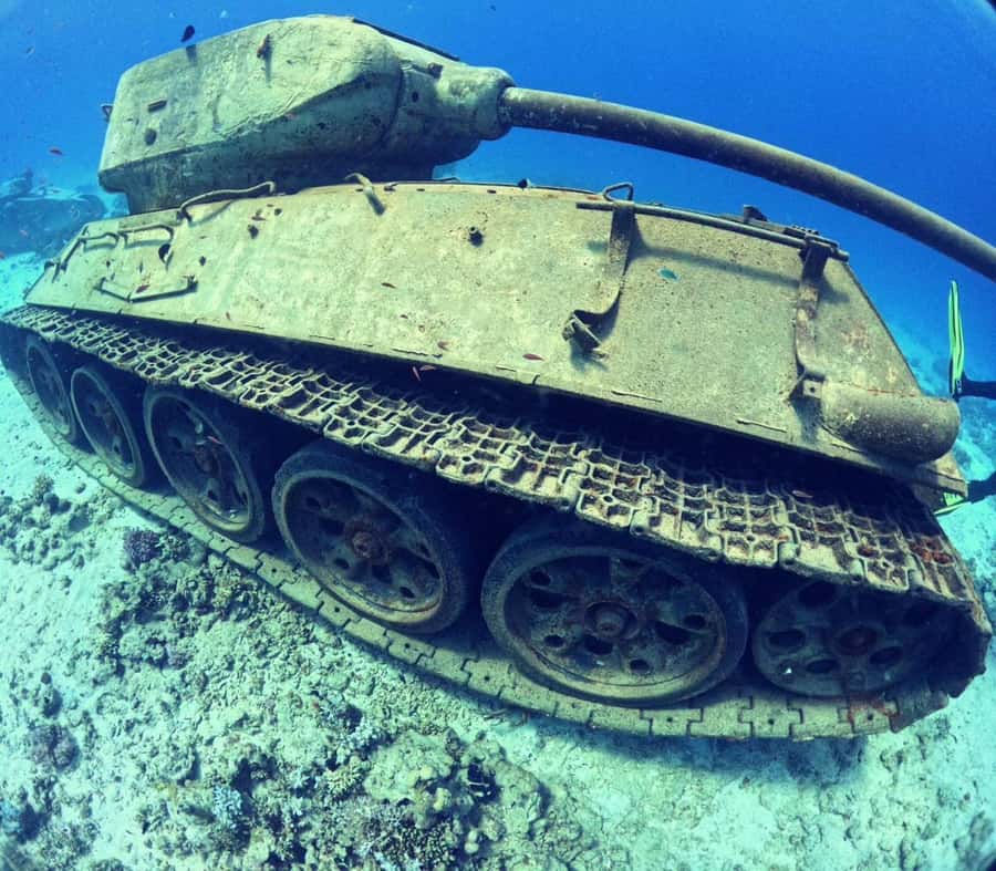 Museum Diving Experience in the Red Sea - Key things to know before you go
