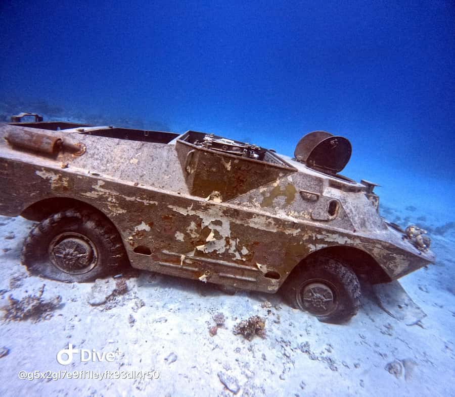 Museum Diving Experience in the Red Sea - Who this is best for, and who should choose something else