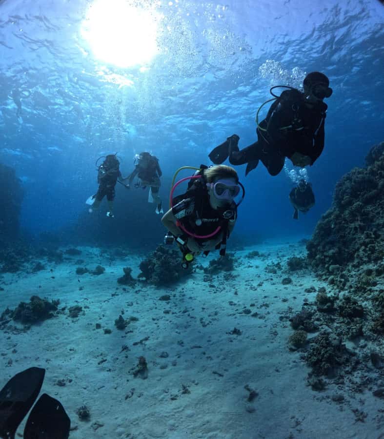 Museum Diving Experience in the Red Sea - What you see underwater: tanks, helicopters, planes, and marine life