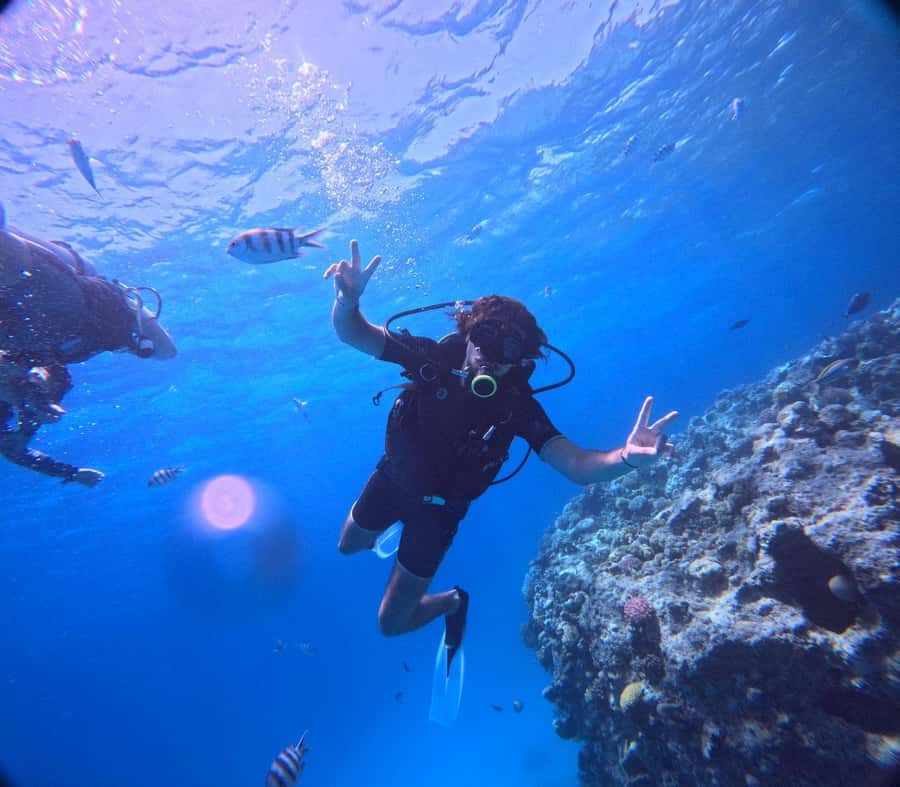 Museum Diving Experience in the Red Sea - Skipping the line and handling extra fees without surprises