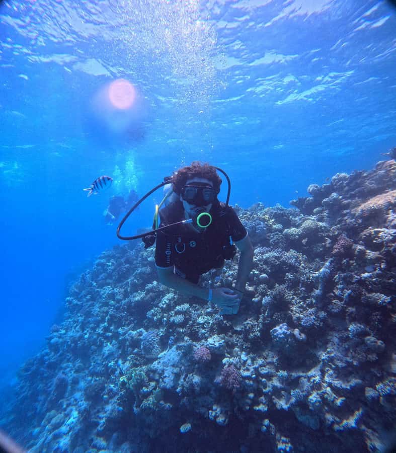 Museum Diving Experience in the Red Sea - Price and value: is $61 a fair deal?
