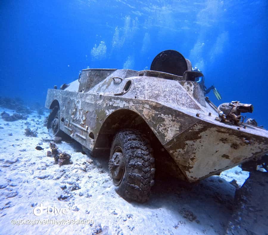Museum Diving Experience in the Red Sea - What to bring, what not to bring, and small rules that save time