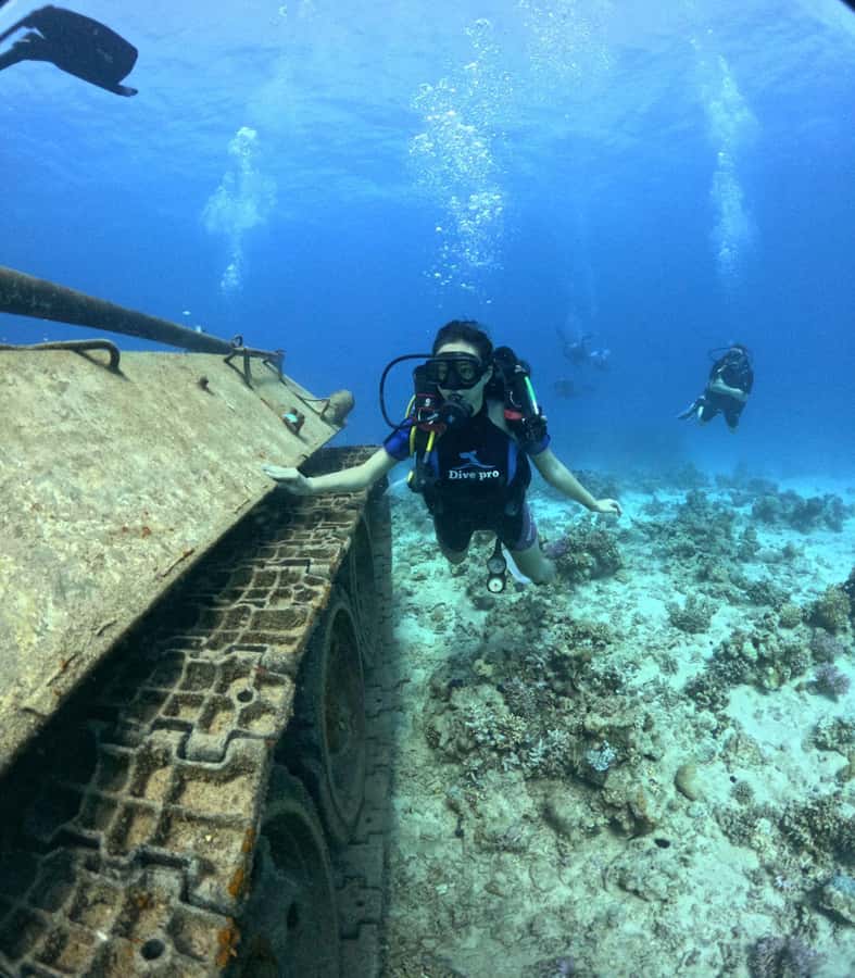 Museum Diving Experience in the Red Sea - Pickup, coach ride, and how the 7 hours actually get spent