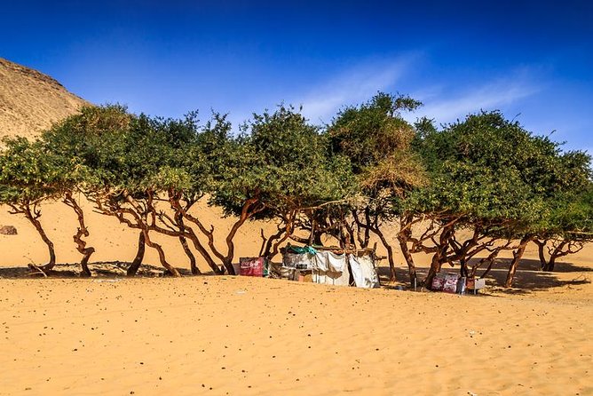 Nubian Village by Motorboat In Aswan - Free time on Sohail Island: wander the colorful homes at your pace