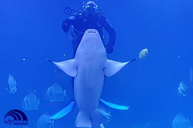 Official Account: Hurghada Grand Aquarium Entrance Tickets - What your 1 to 2 hours looks like inside the aquarium