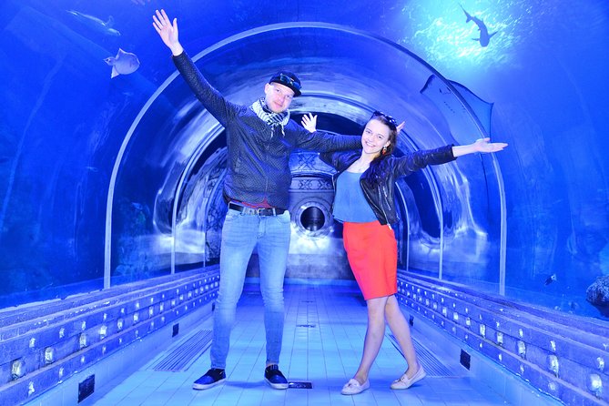 Official Account: Hurghada Grand Aquarium Entrance Tickets - Quick tips so you get the best version of the visit