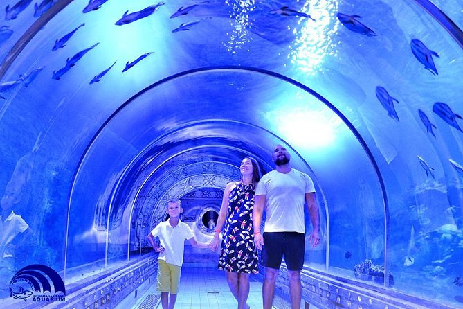Official Account: Hurghada Grand Aquarium Entrance Tickets - Touch tank and hands-on time: the part families remember