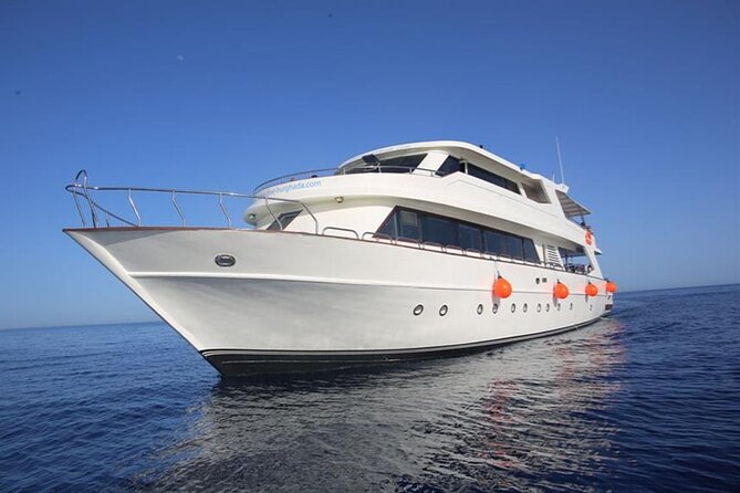 Orange Bay Island Full Day Trip And Water Sport With Lunch - Hurghada - Price and Logistics: What You Pay, What You Might Still Pay