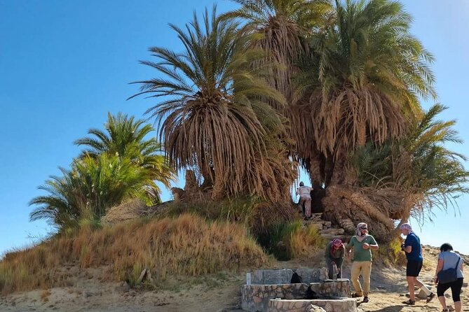 Overnight camping black and white desert. - Bedouin village and a cold spring: the stop you should slow down for