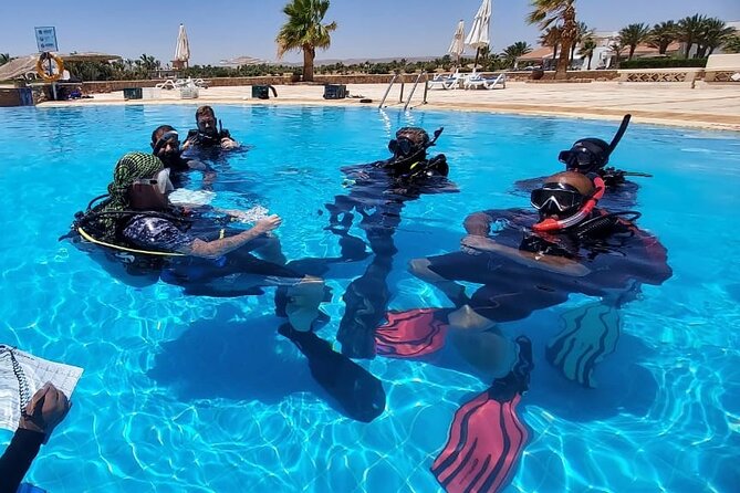 PADI Advanced Diving Course in Hurghada - Learn Scuba Diving - Quick takeaways